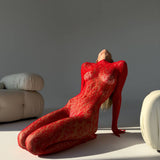 Chloé Čipkasta Bodystocking od Čipke i Mreže Osjetljiva Prozirna za Elegantnu Privlačnost