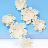 Phyllis Varnish Cvjetne Naušnice Lakirane Sa Sjajem Za Elegantne Prigode I Svakom Stilu